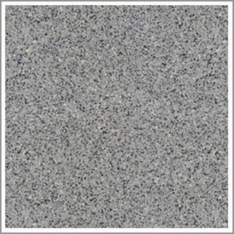 Gạch Đồng Tâm 4GA43