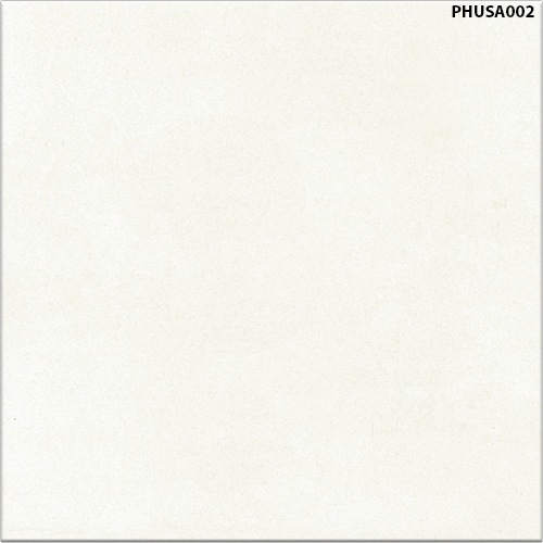 60x60 Đồng Tâm PHUSA002