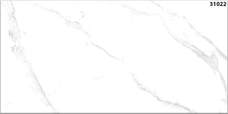 60x120 HOÀN MỸ 31022